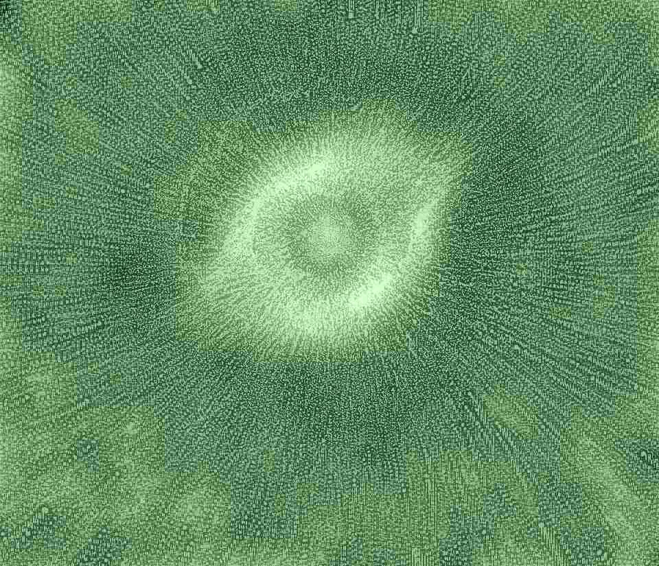 579604_483298398398105_1953544274_n (1)-004