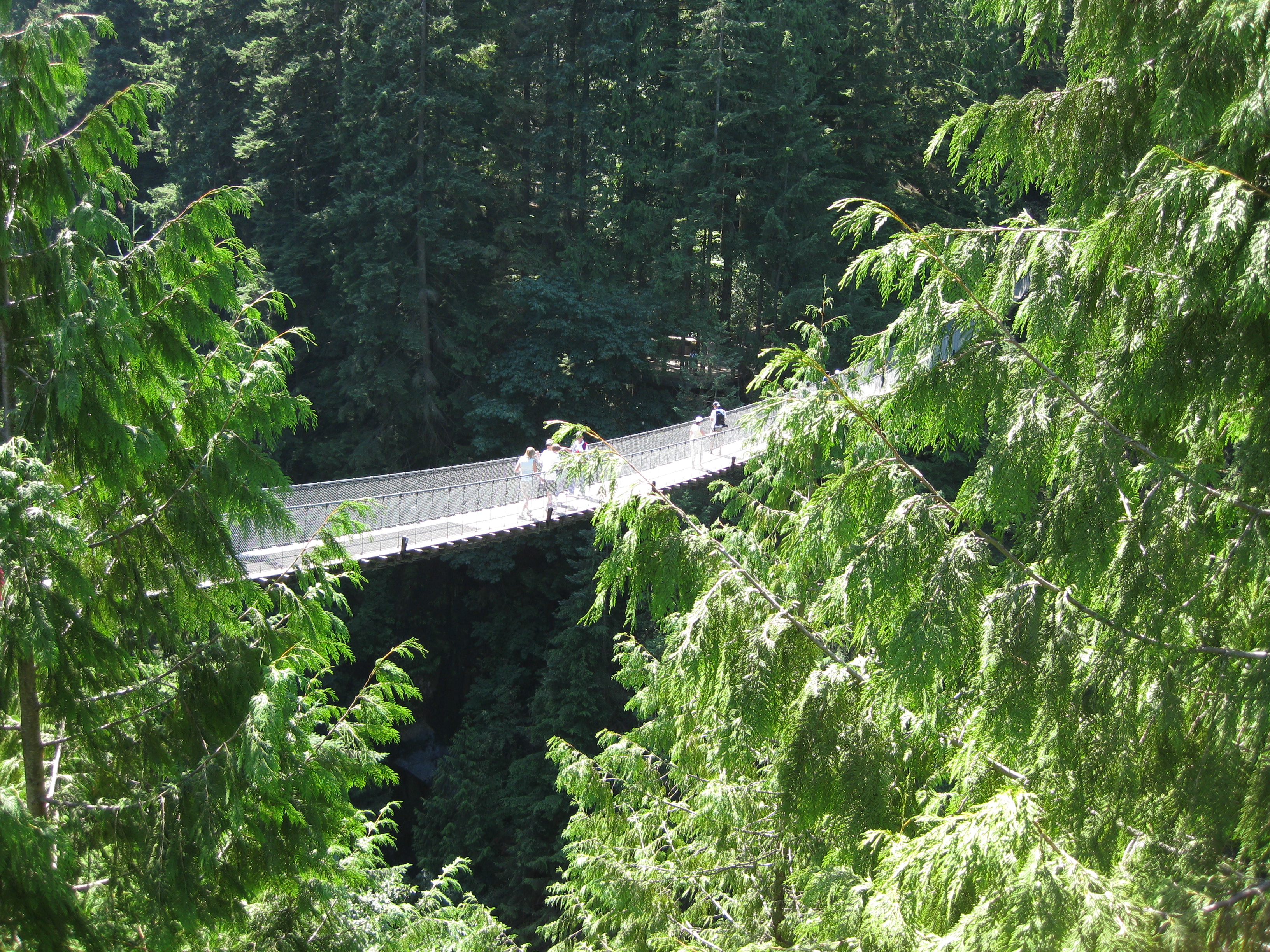 7-20-09 Capilano Suspension Bridge and Stanley Park 010