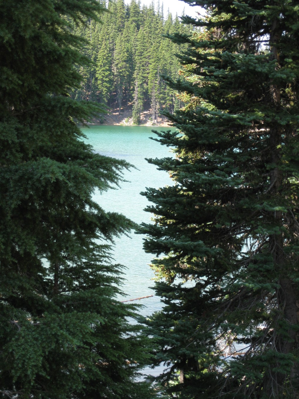 7-30-09 Mt Bachelor and Museum 007