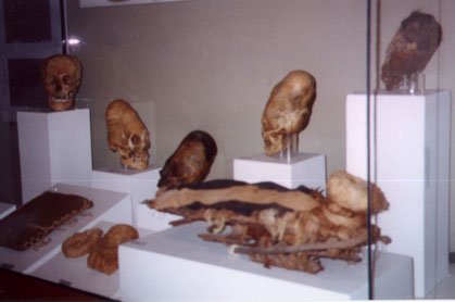 Inca_museum_skulls