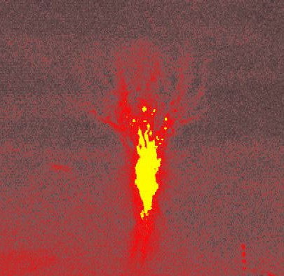 116914main_burning_tree_lg(1)