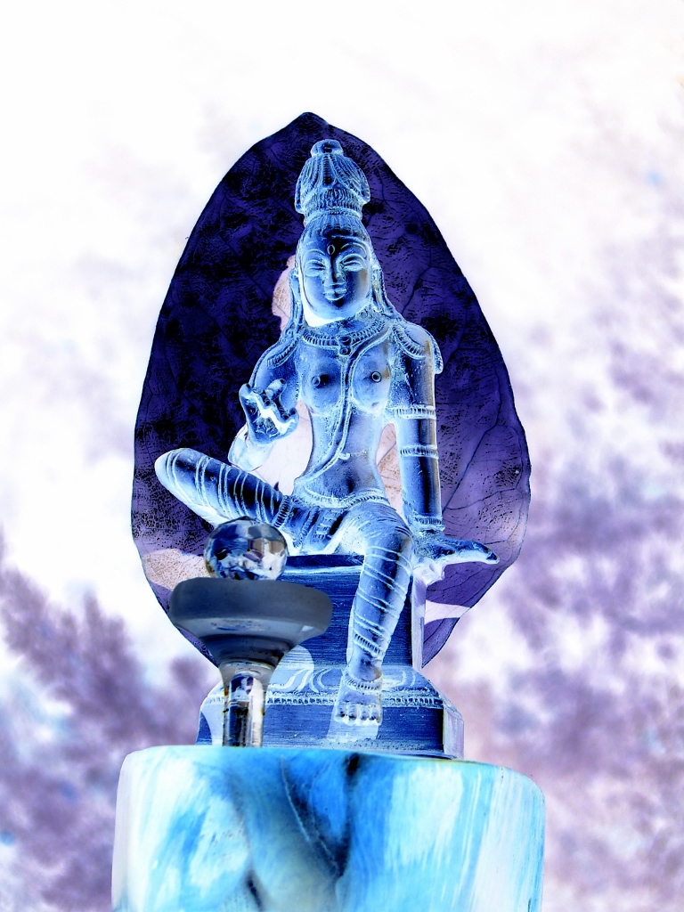 DSC00478a (768x1024)