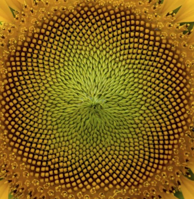 iStock_000047939606Medium